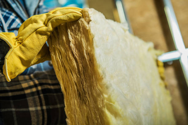 Best Eco-Friendly Insulation in Denmark, WI