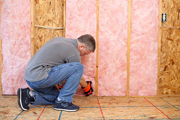 Best Cellulose Insulation in Denmark, WI