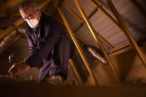 Best Specialized Insulation Services in Denmark, WI